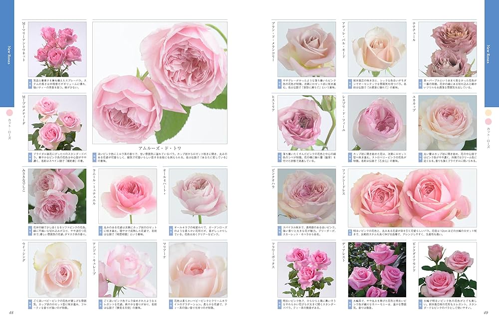 新・薔薇大図鑑2200 ~Encyclopedia of Rose~ | |本 | 通販 | Amazon